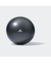 GYMBALL - 55CM